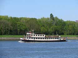 Kinderdijk Excursion